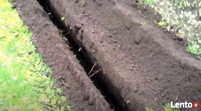 Wypożyczalnia Koparka łańcuchowa Wykopy Liniowe Nawodnienia