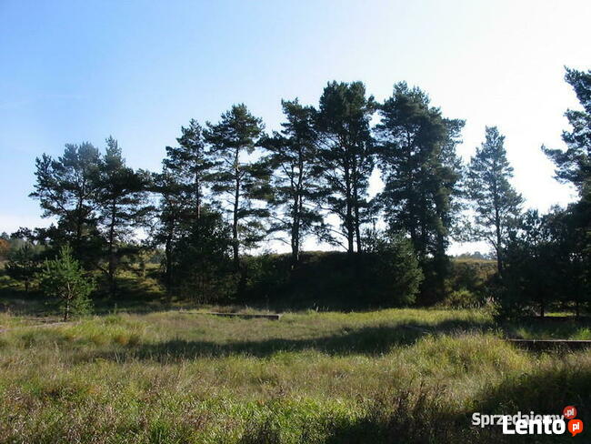 Działki rekreacyjne z fundamentami na Mazurach