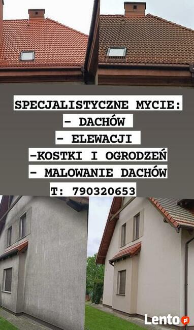 Mycie dachu - mycie elewacji - mycie kostki brukowej