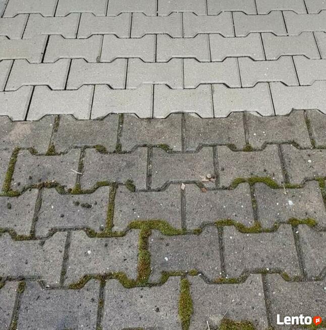 Mycie dachu mycie elewacji mycie kostki