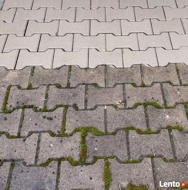 Mycie dachu - mycie elewacji - mycie kostki brukowej - tanio