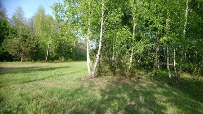 Działka 9000m2 Budowlano rolna asfalt media Dąbrówka