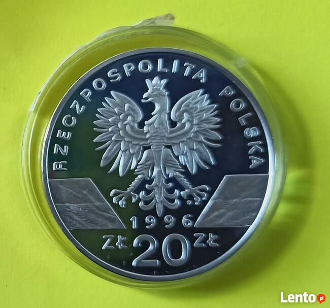 20 zł Jeż 1996 r. Okazja !!!