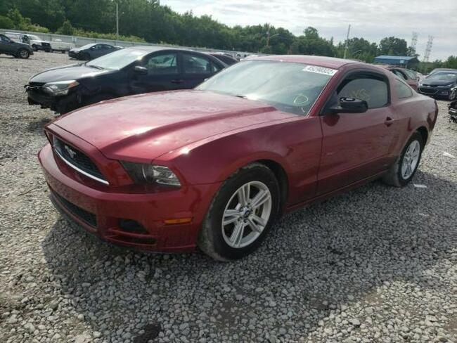 Ford Mustang 2014, 3.7L, po gradobiciu