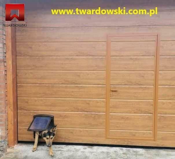 Brama segmentowa garażowa kolor złoty dąb i inne renolity