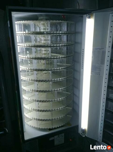 WYNAJMĘ Automat vendingowy NECTA STAR FOOD 10