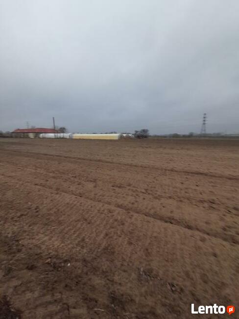 Kalisz Rajsków działka budowlana 1.1 ha