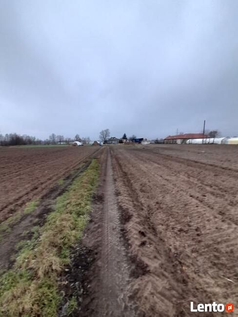 Kalisz Rajsków działka budowlana 1.1 ha