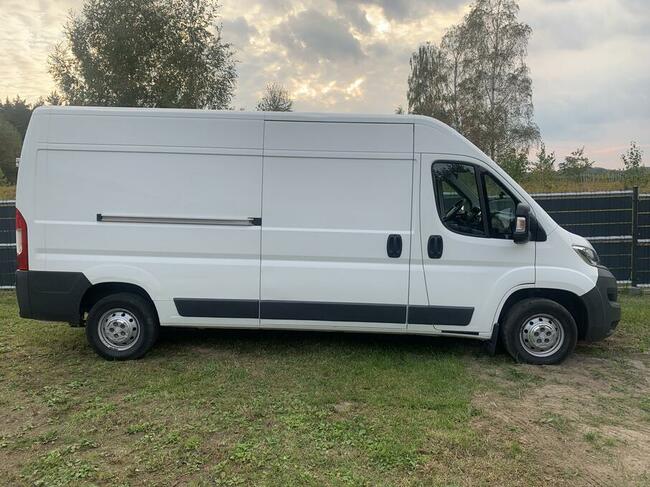 Wynajem BUS samochód dostawczy wypożyczalnia Busów dostawczy