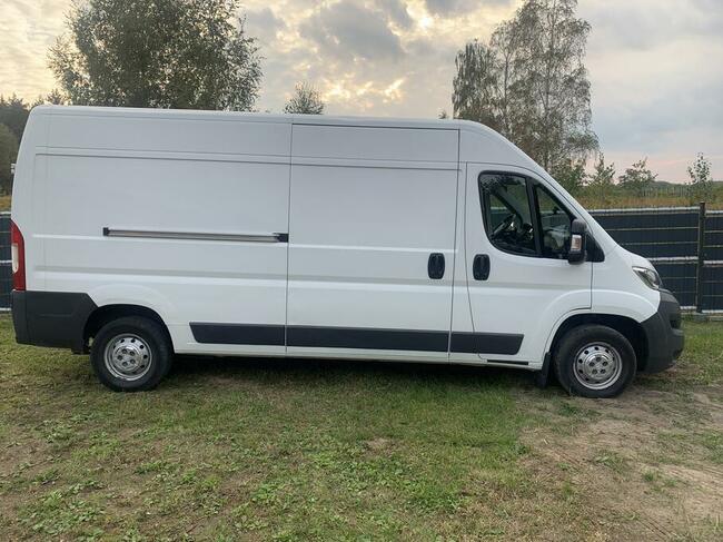 Wynajem BUS samochód dostawczy wypożyczalnia Busów dostawczy