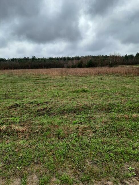 Sprzedam ziemię w Biskupnicy