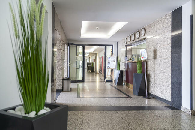 Lokal na wynajem od zaraz w Łodzi na Bałutach