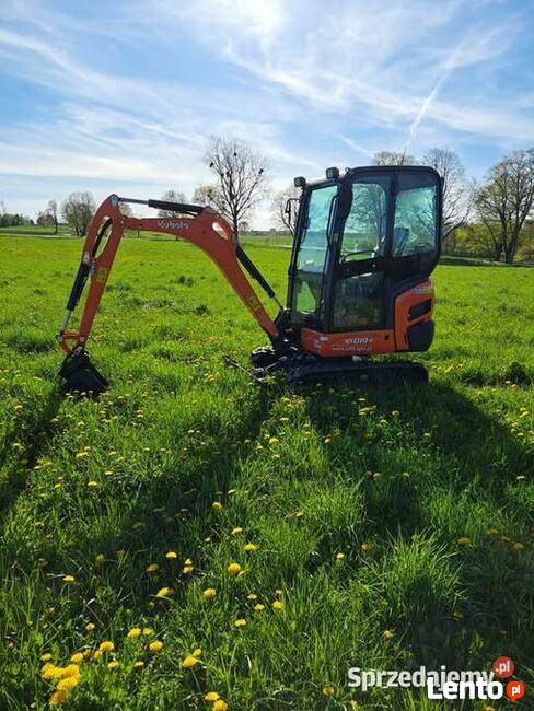 Usługi minikoparka kubota kx019 prace ziemne