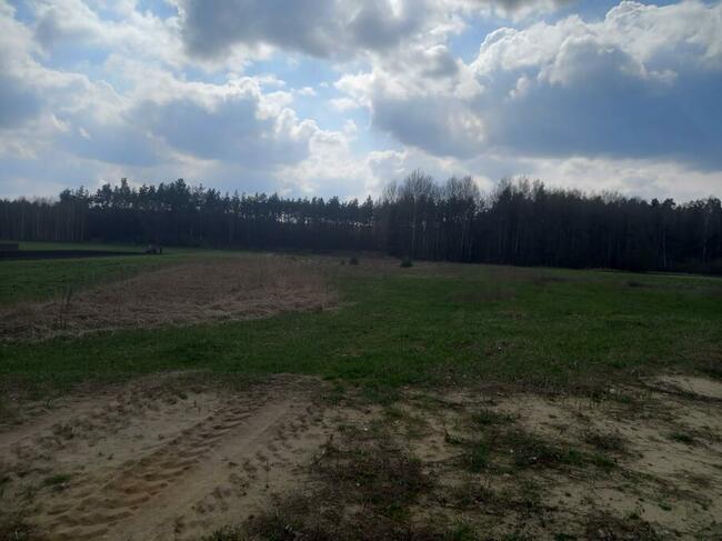Działka rolna