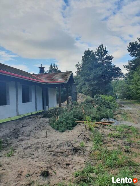 Wycinka drzew trudnych Dębica i okolice