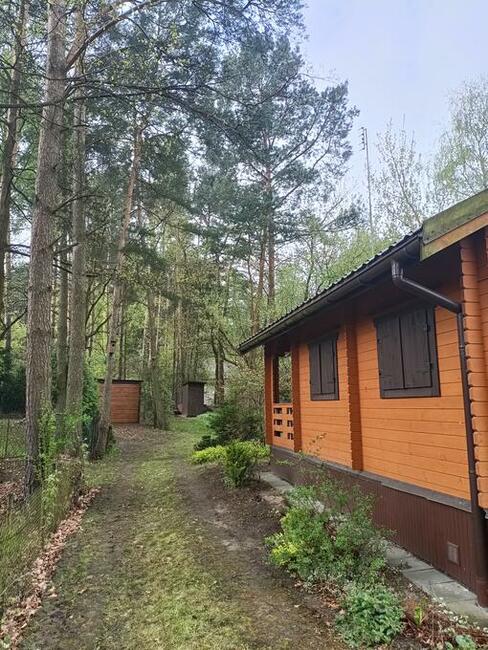 Wynajmę działkę rekreacyjną