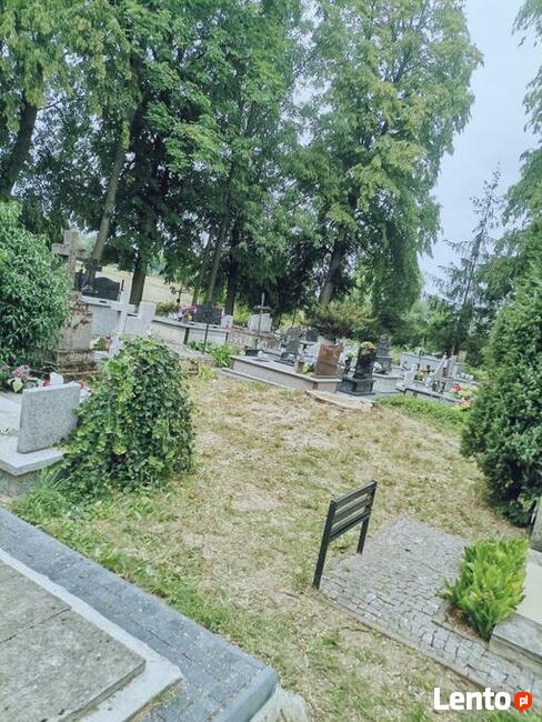 Wycinka drzew trudnych Dębica i okolice