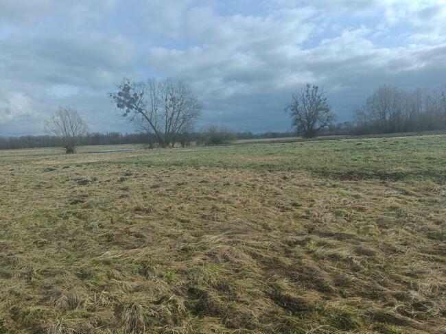 Działka rolna Stawki, pow. 3703 m2