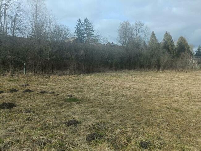 Działka rolna Stawki, pow. 3703 m2