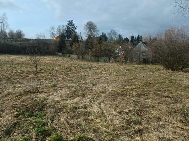 Działka rolna Stawki, pow. 3703 m2