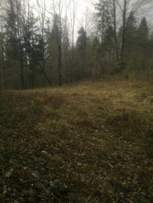 Sprzedam dzialke lesno -rekracjna