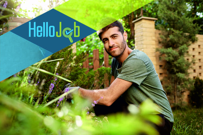 Praca w Holandii order picker - magazyny - szklarnie