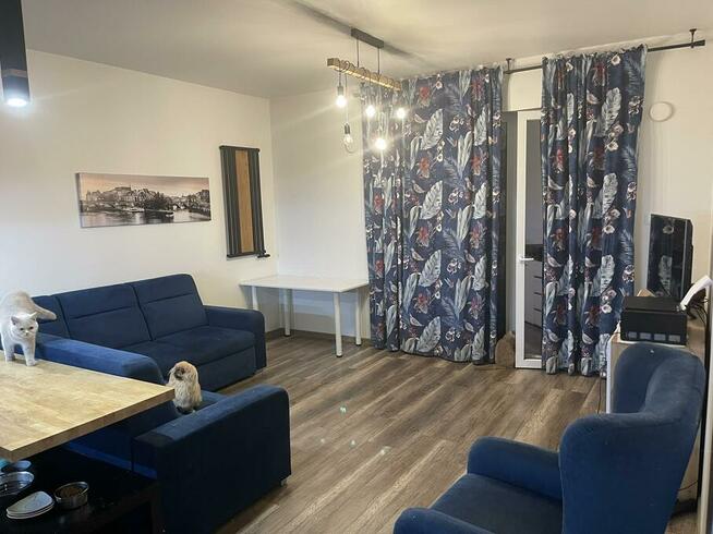 Apartament Drewnowska 43