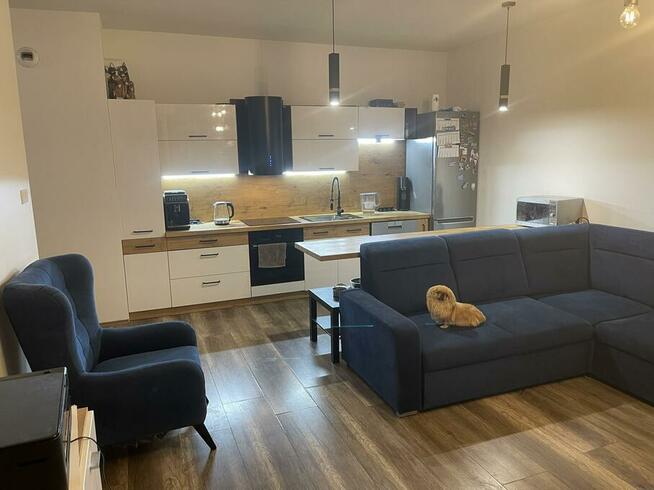 Apartament Drewnowska 43