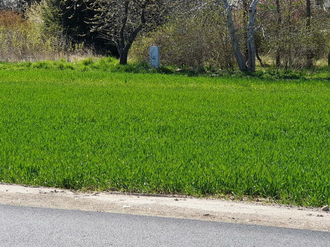 Działka nad morzem Ustronie Morskie