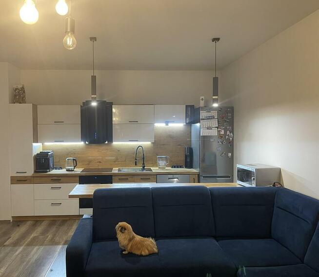 Apartament Drewnowska 43