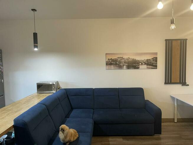 Apartament Drewnowska 43