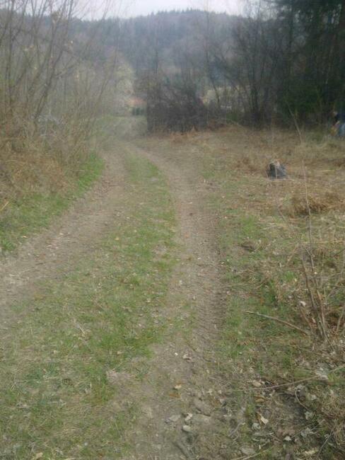 Sprzedam dzialke lesno -rekracjna