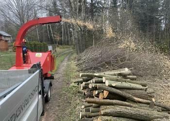 wycinka drzew krzewów wywóz bio