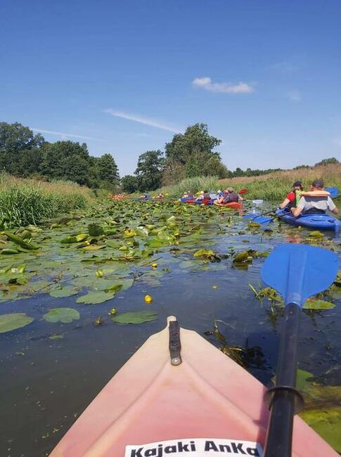Kajaki Milicz Kajaki Milicz Milicz AnKa w Dolinie Baryczy.