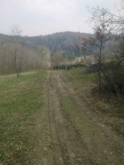 Sprzedam dzialke lesno -rekracjna