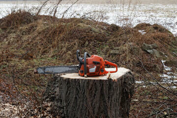 wycinka drzew krzewów wywóz bio