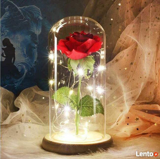 Piękna Biała Podwójna Wieczna Róża w Szkle Dzień Matki Mamy