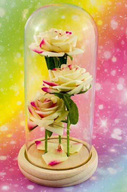 Piękna Sztuczna Wieczna Róża w Szkle Kremowo-Różowa Prezent