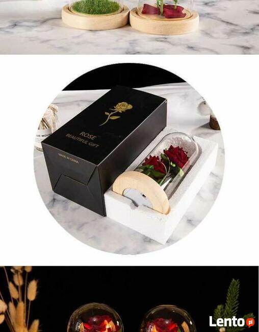 Piękne 3 Róże Róża w Szkle w Szklanej Kopule Dzień Matki