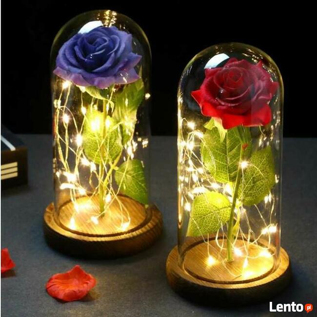 Piękna Biało-Różowa Wieczna Róża w Szkle Dzień Mamy Matki