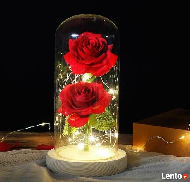 Piękna Biała Podwójna Wieczna Róża w Szkle Dzień Matki Mamy