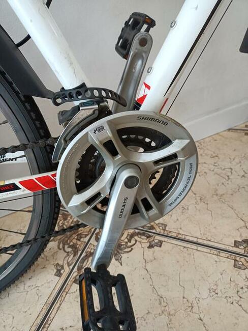 Rower WHEELER cross 6.2