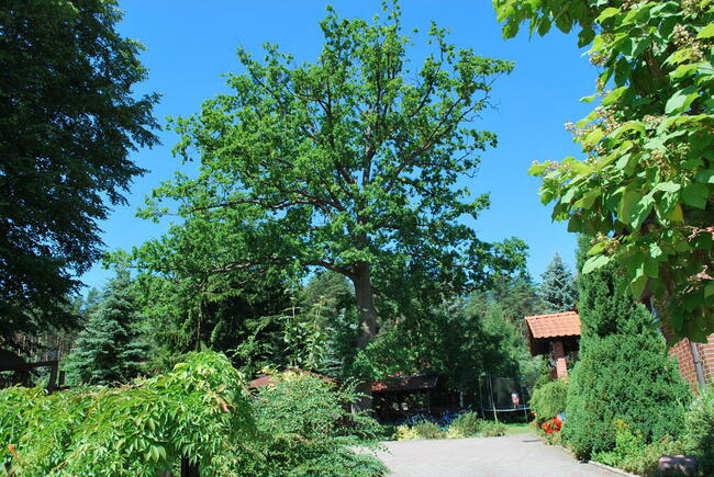 Wakacje w Gościńcu i nad Jeziorem Dadaj