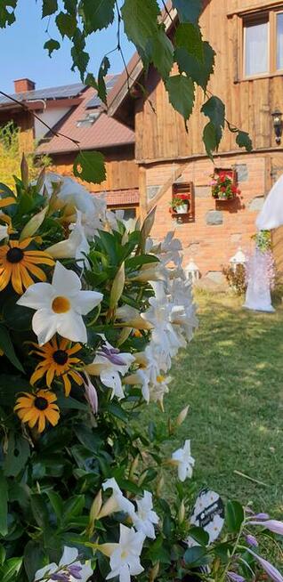 Sala Weselna 200 Osób