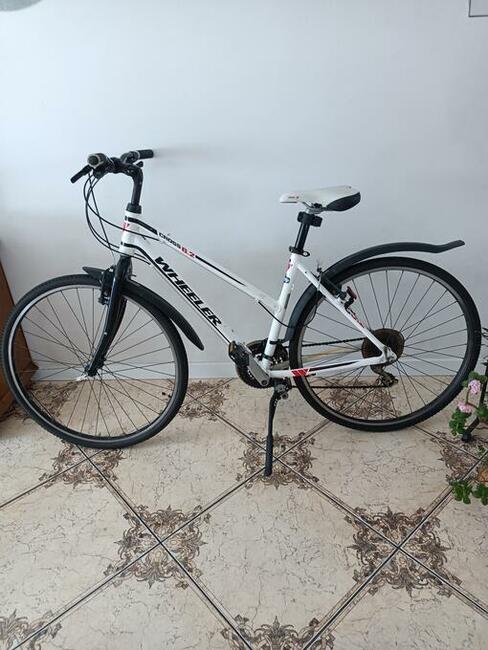 Rower WHEELER cross 6.2