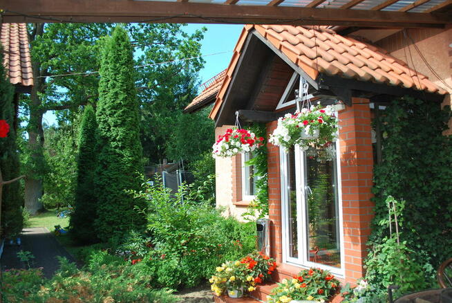 Praca Kucharz Cały Rok Lub Więcej