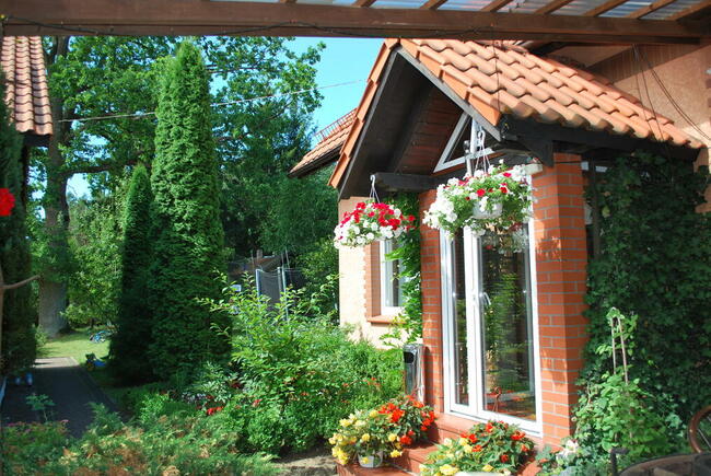 Wakacje w Gościńcu i nad Jeziorem Dadaj