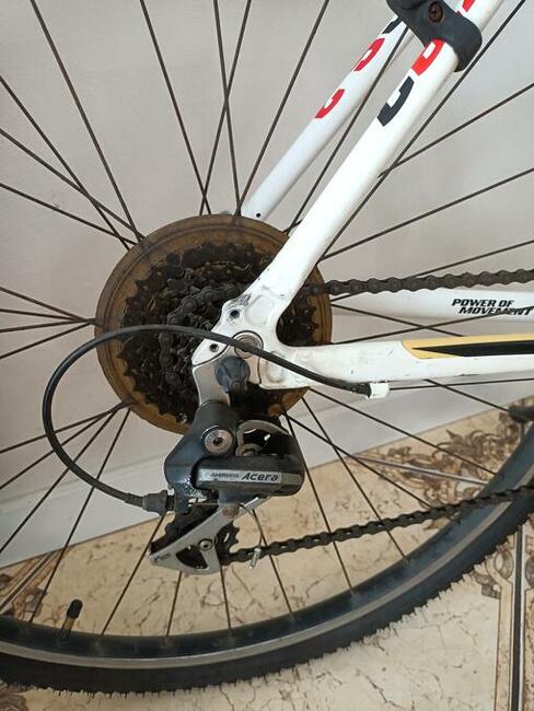 Rower WHEELER cross 6.2