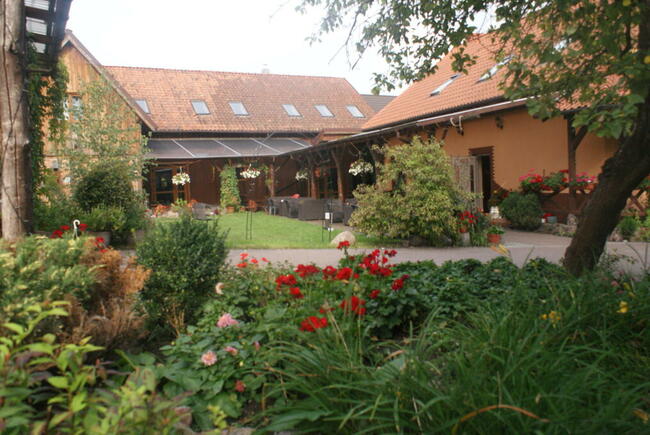 Wakacje w Gościńcu i nad Jeziorem Dadaj