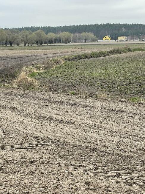 Sprzedam działkę 1,16h Przysieczyn